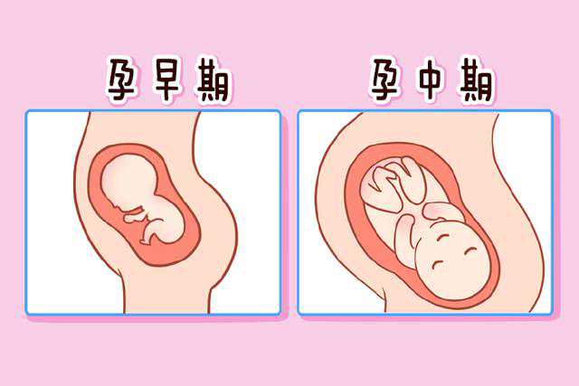 听说上海国妇婴生殖科金丽辞职了是真的吗？