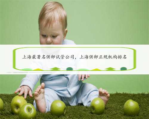 上海最著名供卵试管公司，上海供卵正规机构排名