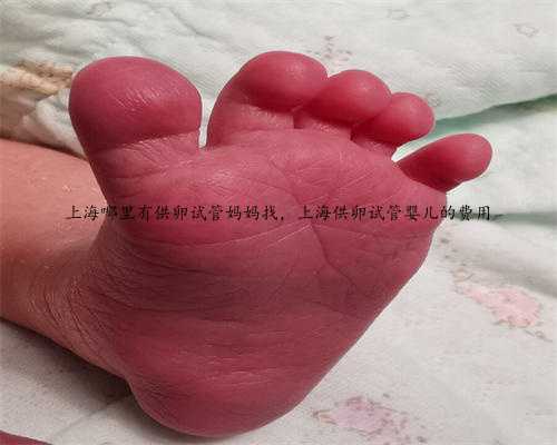 上海哪里有供卵试管妈妈找，上海供卵试管婴儿的费用