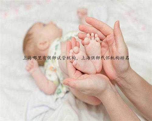 上海哪里有供卵试管机构，上海供卵代怀机构排名