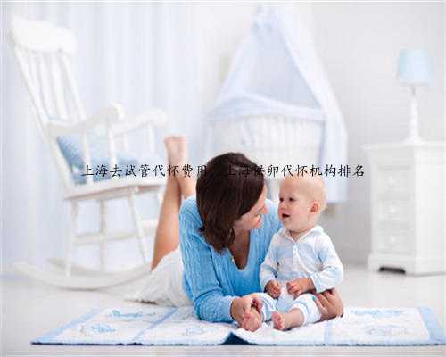 上海去试管代怀费用，上海供卵代怀机构排名