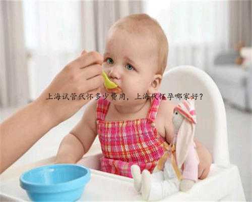 上海试管代怀多少费用，上海代怀孕哪家好？
