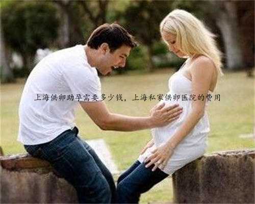 上海供卵助孕需要多少钱，上海私家供卵医院的费用