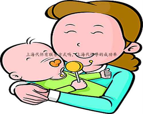 上海代怀有联系方式吗，上海代怀孕的成功率