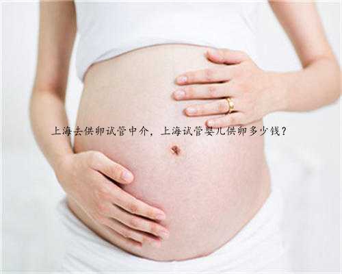 上海去供卵试管中介，上海试管婴儿供卵多少钱？