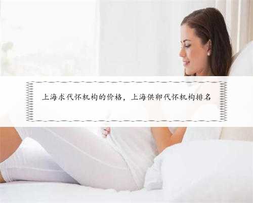上海求代怀机构的价格，上海供卵代怀机构排名
