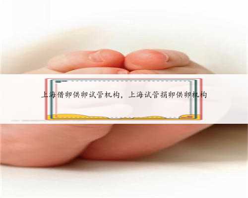 上海借卵供卵试管机构，上海试管捐卵供卵机构