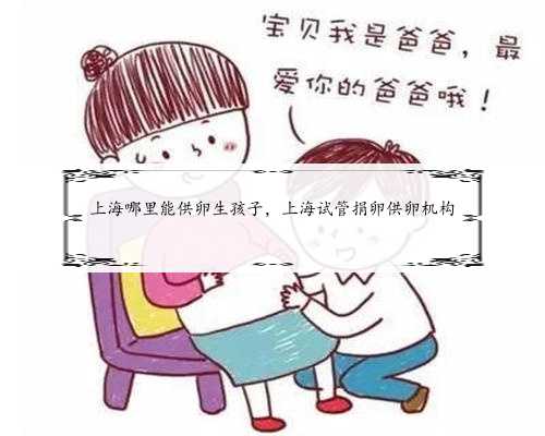 上海哪里能供卵生孩子，上海试管捐卵供卵机构