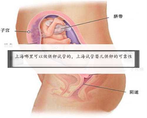 上海哪里可以做供卵试管的，上海试管婴儿供卵的可靠性