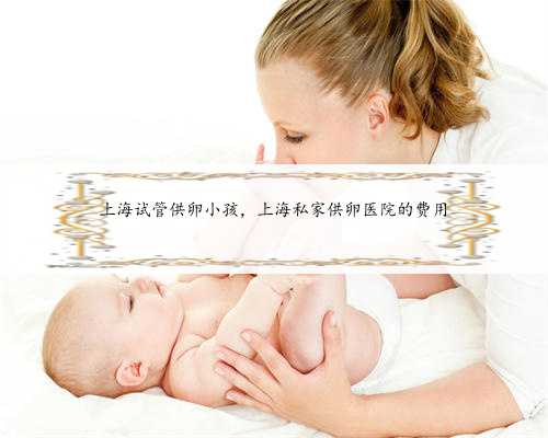 上海试管供卵小孩，上海私家供卵医院的费用