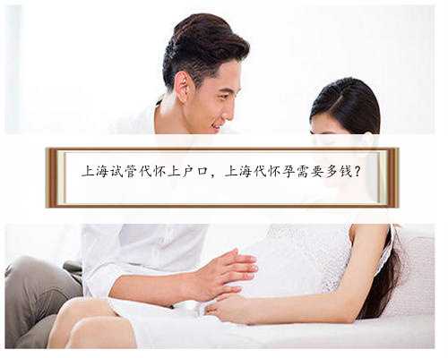上海试管代怀上户口，上海代怀孕需要多钱？