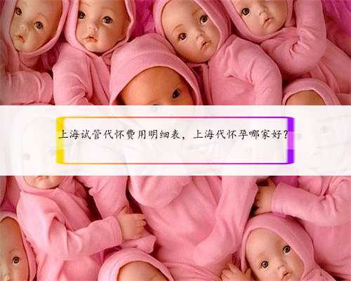 上海试管代怀费用明细表，上海代怀孕哪家好？