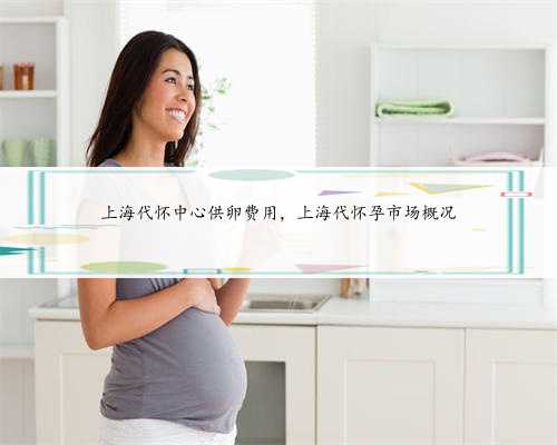 上海代怀中心供卵费用，上海代怀孕市场概况