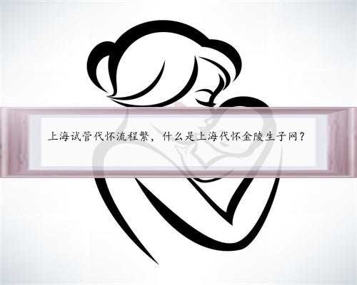 上海试管代怀流程繁，什么是上海代怀金陵生子网？