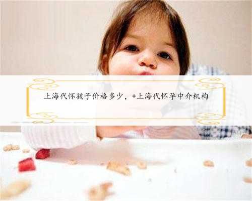 <b>上海代怀孩子价格多少， 上海代怀孕中介机构</b>