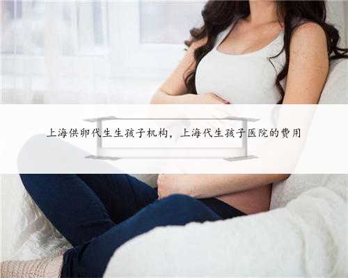 上海供卵代生生孩子机构，上海代生孩子医院的费用