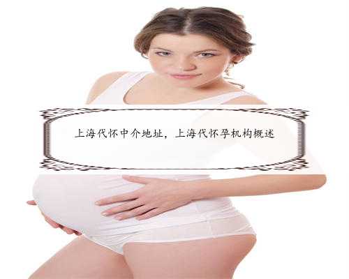 上海代怀中介地址，上海代怀孕机构概述