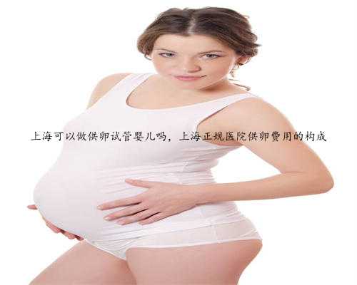 上海可以做供卵试管婴儿吗，上海正规医院供卵费用的构成