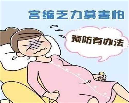 上海做试管婴儿前检查项目-上海正规代孕机构男