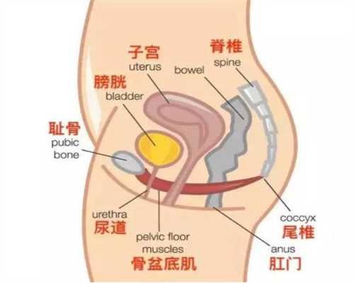 上海有想代孕的女人吗-代怀孕前营养供给的注意