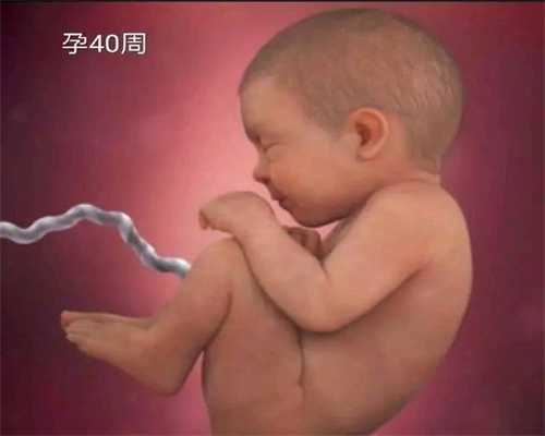 供卵试管是多少合适_解密：深圳助孕试管婴儿多少岁不能做了?