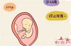 上海做供卵试管过程，宫颈炎做试管婴儿，术前必须要治疗吗？