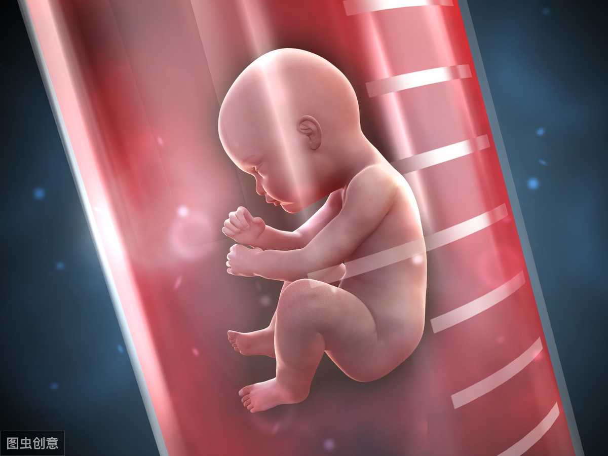 上海代生包成功，试管婴儿多次胚胎移植失败还要坚持吗？