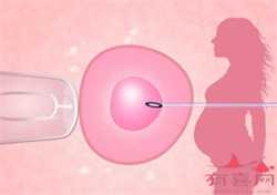 上海借卵怀孕注意什么，面对“起床气” 叫孩子起床可以用这几种技巧