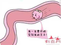 上海供卵专业中心~上海试管供卵机构~，孕妇后期还要吃补品吗