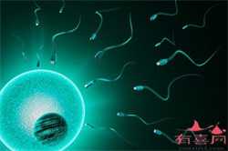 上海借卵子中心~上海供卵补偿多少钱~，胎儿肾缺如有翻盘的吗