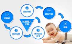上海能供卵试管助孕的医院名单，2022年最新版本分享
