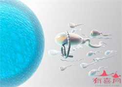 上海供卵代怀—~上海供卵选性别机构~，备孕期口腔溃疡脖子疼怎么办