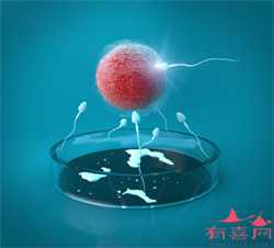 上海代生双胞胎~上海试管供卵生孩子~上海代怀小孩有哪些中介公司，孩子的遗
