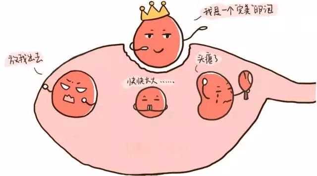 上海代生双胞胎~上海试管供卵生孩子~上海代怀小孩有哪些中介公司，月经量多