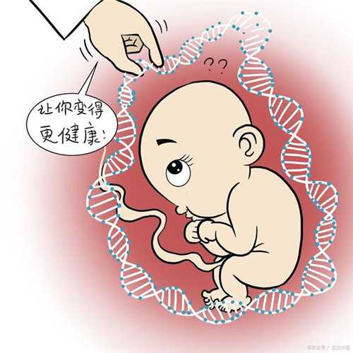上海美女供卵~上海代生一个孩子要多少钱，清蒸鱼头的做法窍门(家常清蒸鱼头