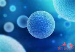 2022上海不孕不育医院排行榜，热门生殖机构前三名推荐