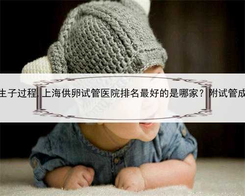 上海代怀生子过程,上海供卵试管医院排名最好的是哪家？附试管成功率详情