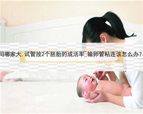 上海代怀公司哪家大,试管放2个胚胎的成活率_输卵管粘连该怎么办？医生告诉您