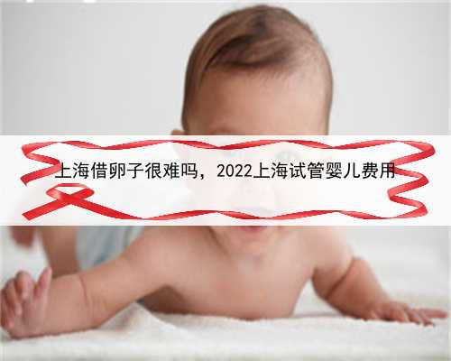 上海借卵子很难吗，2022上海试管婴儿费用