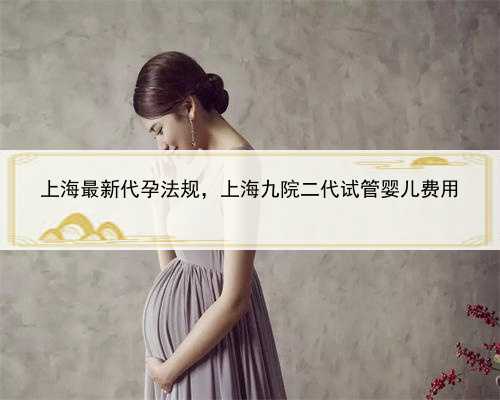 上海最新代孕法规，上海九院二代试管婴儿费用