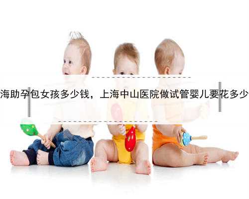 <b>上海助孕包女孩多少钱，上海中山医院做试管婴儿要花多少钱</b>