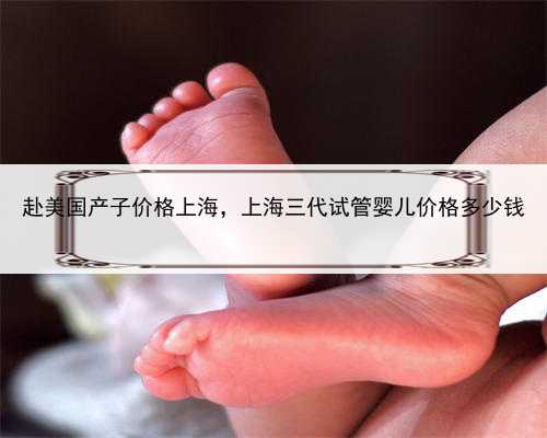 赴美国产子价格上海，上海三代试管婴儿价格多少钱