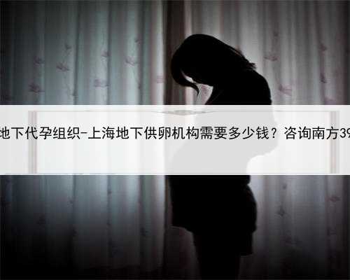 上海地下代孕组织-上海地下供卵机构需要多少钱？咨询南方39助孕