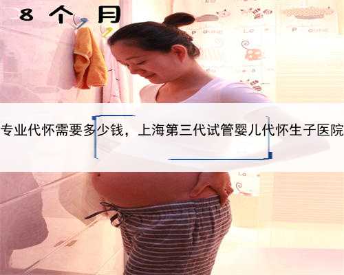 上海专业代怀需要多少钱，上海第三代试管婴儿代怀生子医院排名