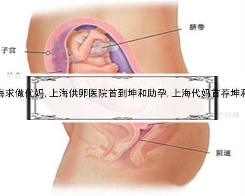 上海求做代妈,上海供卵医院首到坤和助孕,上海代妈首荐坤和助