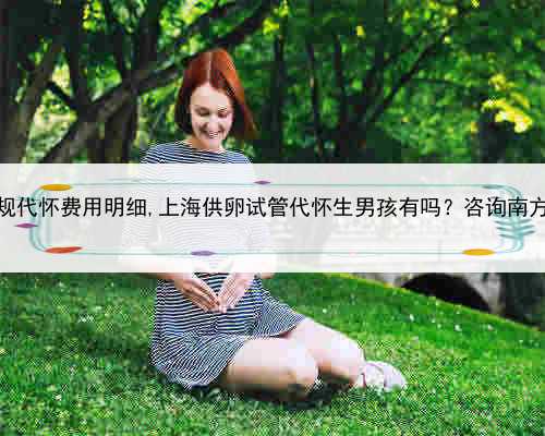 上海正规代怀费用明细,上海供卵试管代怀生男孩有吗？咨询南方39助孕