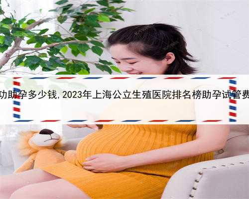 上海包成功助孕多少钱,2023年