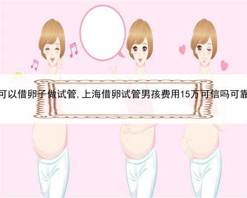 上海可以借卵子做试管,上海借卵试管男孩费用15万可信吗可靠吗？