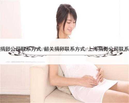 上海捐卵公司联系方式,韶关捐卵联系方式,上海捐卵公司联系方式