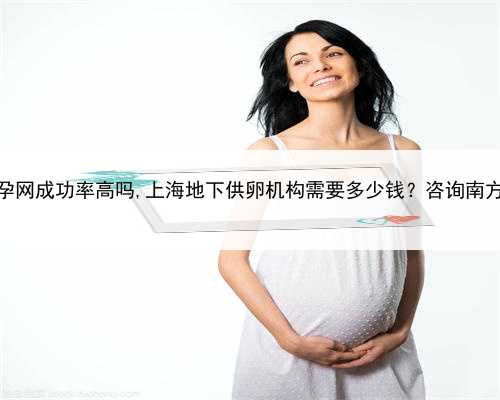 上海助孕网成功率高吗,上海地下供卵机构需要多少钱？咨询南方39助孕